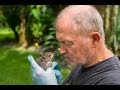 Feeding an Orphaned Baby Squirrel