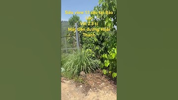 Sở hữu view siêu đẹp #bấtđộngsản #batdongsan #đất #đấtbảolộc