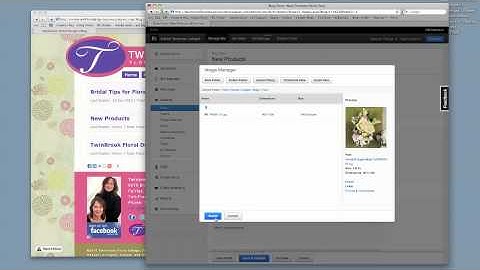 Business Catalyst V3 - Creating Blog and Posts