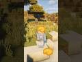 Mod: Cheesus 🧀 #minecraft #minecraftshorts #minecraftbuilding #minecraftmods