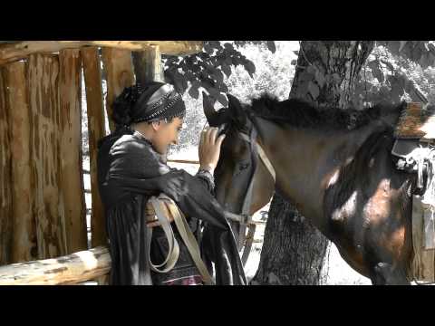 tamar aladashvili arada არადა