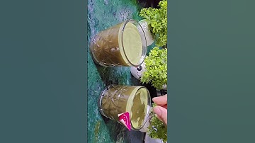 Sugarcane juice without sugarcane 🤗😋 #love #music #shortvideo #sugarcane #trending #ghibliart #yt