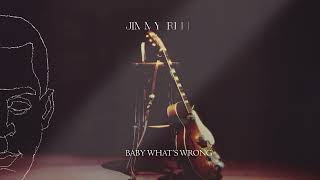Jimmy Reed - Baby, What's Wrong (Remastered 2026/Official Visualizer)