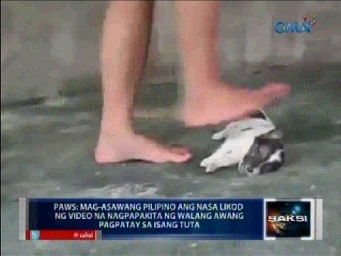 PAWS: galing din sa mag-asawang Pilipinong kinasuhan ng animal cruelty ang bagong crush videos
