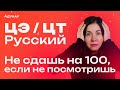 В8 в ЦЭ и ЦТ по русскому языку 2024 | Союзы, союзные слова | Разбираем примеры