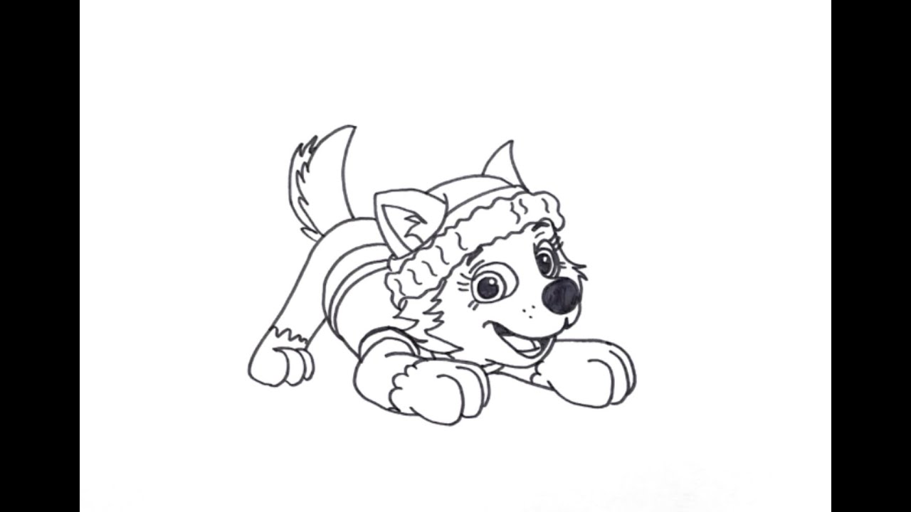 How to Draw and Color Everest from PAW Patrol for