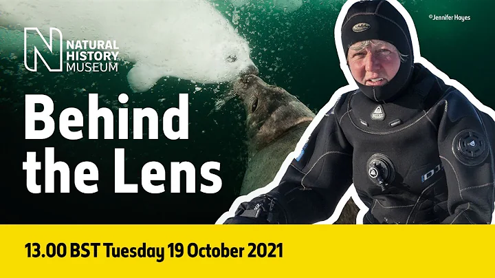 Meet a Wildlife Photographer Jennifer Hayes | Live...