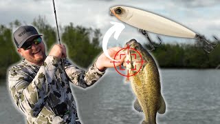 MOST Anglers Don’t Fish A WALKING TOPWATER Lure Correctly!!  Try THESE Proven Tips!