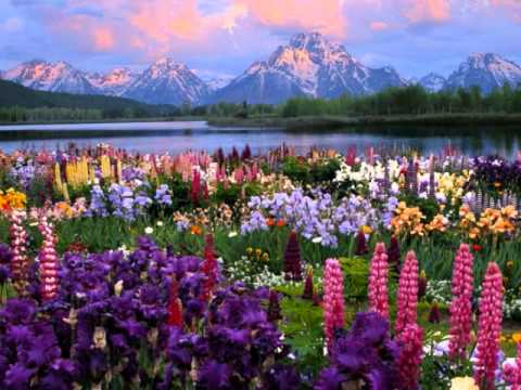 nasheed-'ashwa'-|-أسامه-السلمان---osama-al-salman