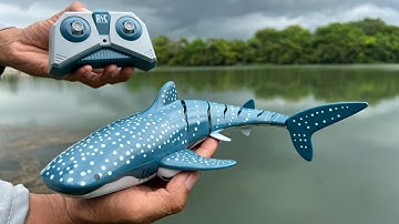 Rc  Whall Shark  Unboxing and Testing || Rc Shark 🦈 Unboxing and Testing