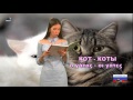 Передача №17 Русский язык для детей на греческом ТВ