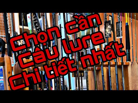 Kinh nghiệm câu