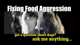 Fixing Food Aggression with a Belgian Malinois - Dog Training - ask me anything