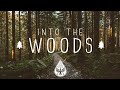 Into the woods   a mysterious folkpop playlist