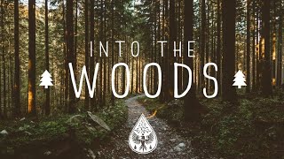 Into The Woods   A Mysterious Folk/Pop Playlist