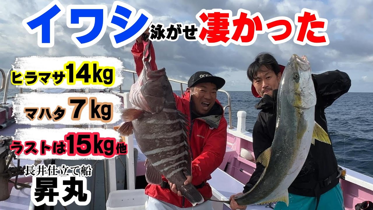【昇丸】イワシ泳がせで狙う高級魚