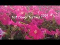 Flowers Festival Taif, Saudi arabia 2019.