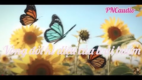 KHTN 7 - Vòng đời kì diệu của loài bướm - biology video - PNCaudio