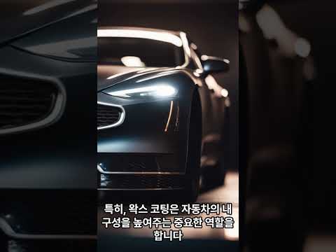 자동차 외장관리