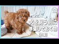 【必見】犬を飼う前に準備しておく物〜前編〜【れいちゃんねる】