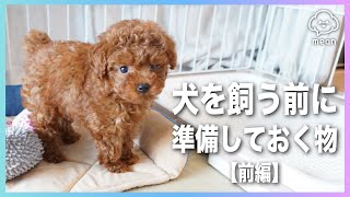 【必見】犬を飼う前に準備しておく物〜前編〜【れいちゃんねる】