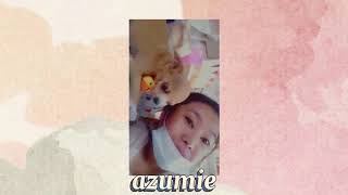 Zumie A Tribute For Our Chihuahua