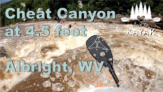 Kayaking the Cheat at 4.5 feet August 2020