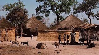 Joel Mbod Sarr El Hadji Sarr Rts