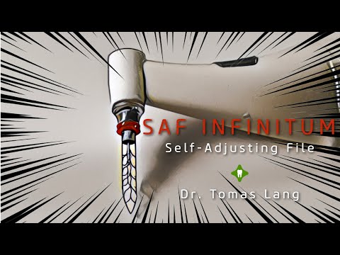SAF Infinitum - Introduction at DGET 2021 Summit Berlin