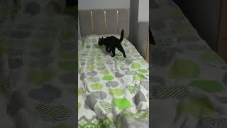 Alın Bununla Birazda Siz Oynayın 😆