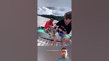 man decided to helf monkey #animals #crocodile #zoo #monkey #trending #shorts #video #explore