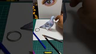 3D Drawing