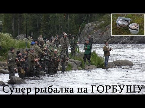 Видео: СУПЕР РЫБАЛКА НА ГОРБУШУ   / SUPER FISHING FOR SALMON