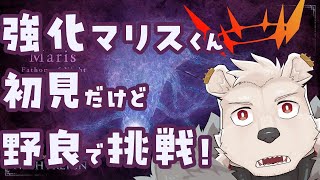 【ナイトレイン】強化マリスくん初見だけど野良で挑戦してみる！【六連星ヘキサ】