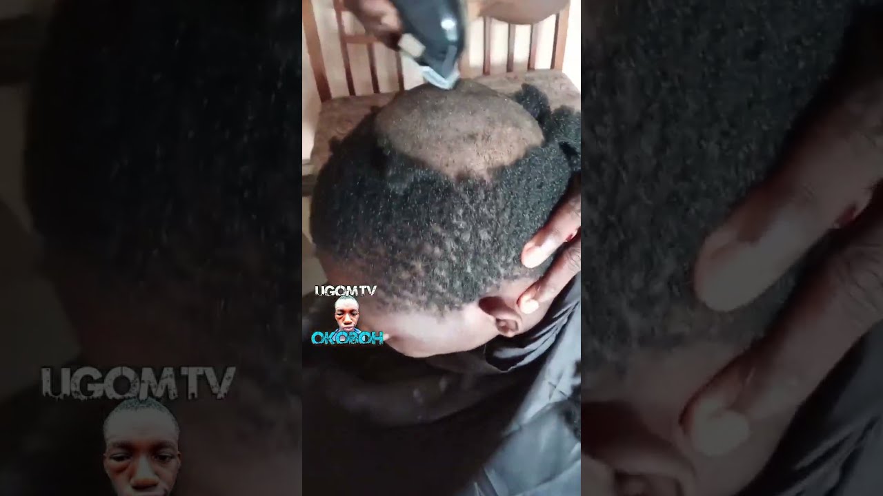 Must watch new special comedy video