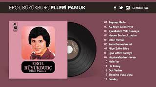 Erol Büyükburç - Enstrümantal Resimi