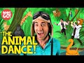 The animal dance  danny go kids songs about animals