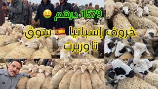 خروفة اسويهلا  إسبانيا 🇪🇸 سوق تاوريرت ساوي 1570 درهم 11 ماي 2024 الجودة 🇲🇦 ديال البلاد غالية