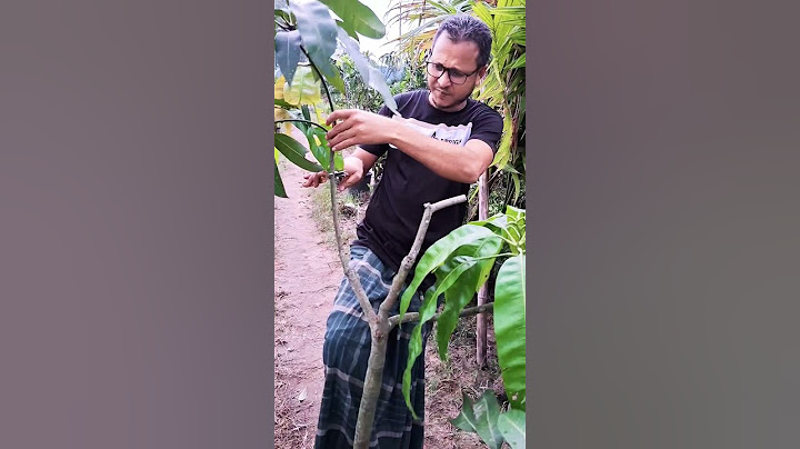 এটা মডেল হল গাছের #agrifuture #reels #gaming #shortsviral