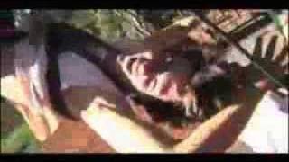 Woodleaf Promo Video