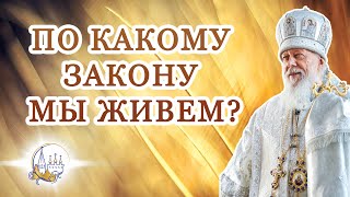 По какому закону мы живем?