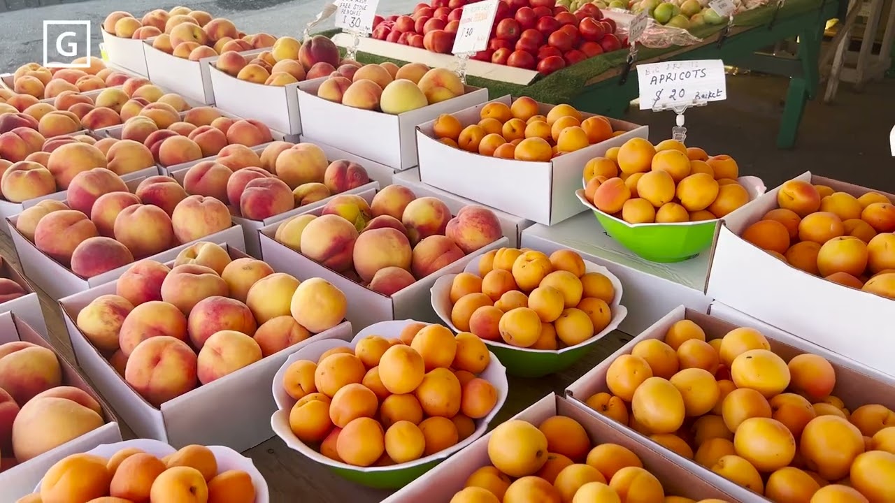 Green Line Business Feature - Crossroads Market