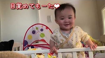 ピヨちゃんねる時々なんでやねん Youtube