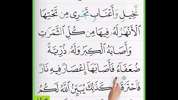 احكام الاية ٢٦٦ من سورة البقرة ص ٤٥