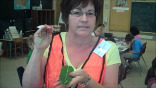 Bug Detective - Linda Edmondson