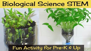 How to Create a Self-Watering Planter [Mung Beans]
