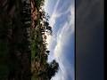 #paysage #nature #forest #tree  #rock #sound #sayuri              Paysage