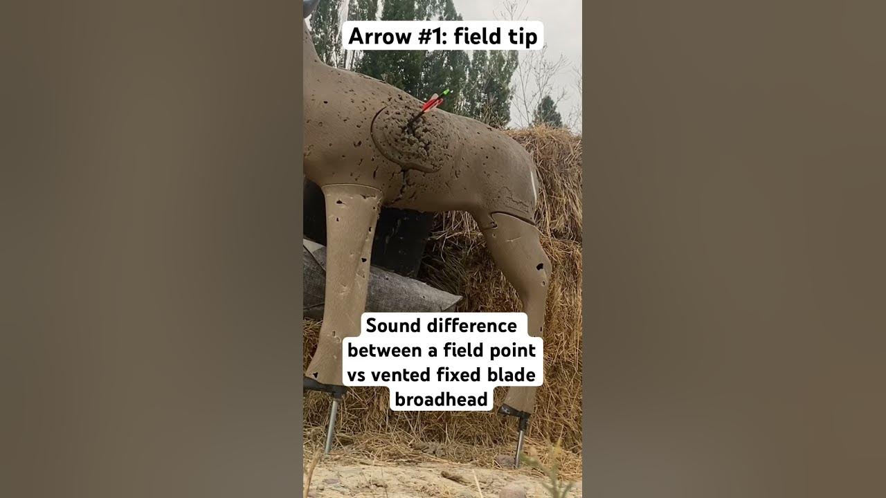 Field tip vs vented fixed blade broadhead sound volume. YouTube