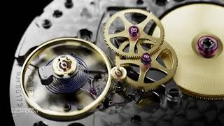 Rolex caliber 3255 Clearance