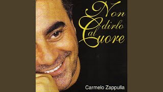 Video thumbnail of "Carmelo Zappulla - Questo grande amore"